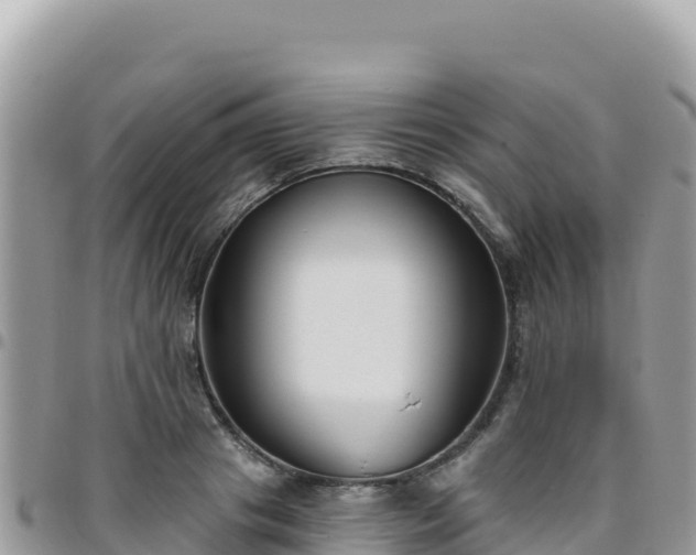 X0000095930841200801181438