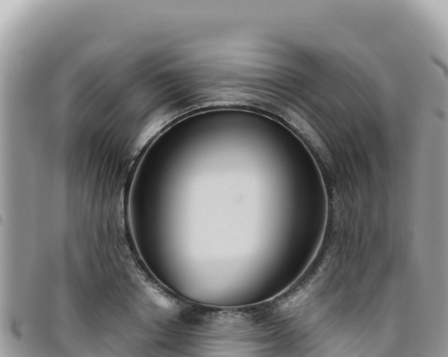 X0000095930842200801181438