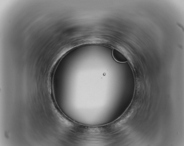 X0000095930843200801181438