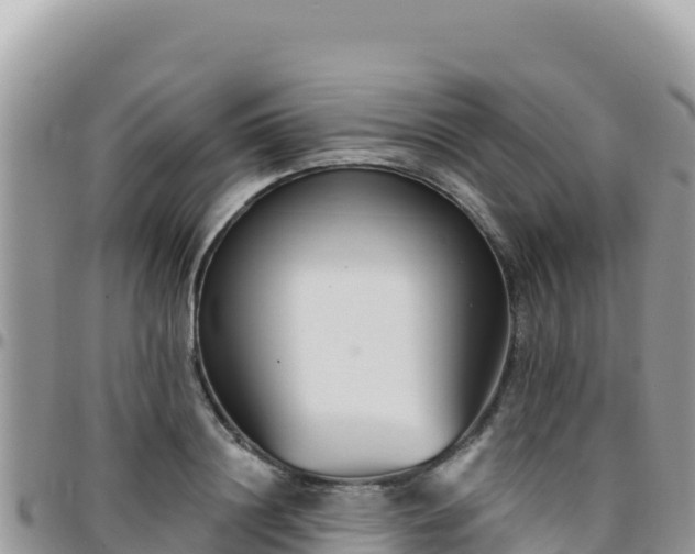 X0000095930844200801181438