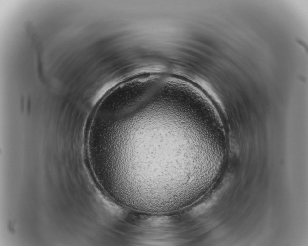 X0000095930845200801181438