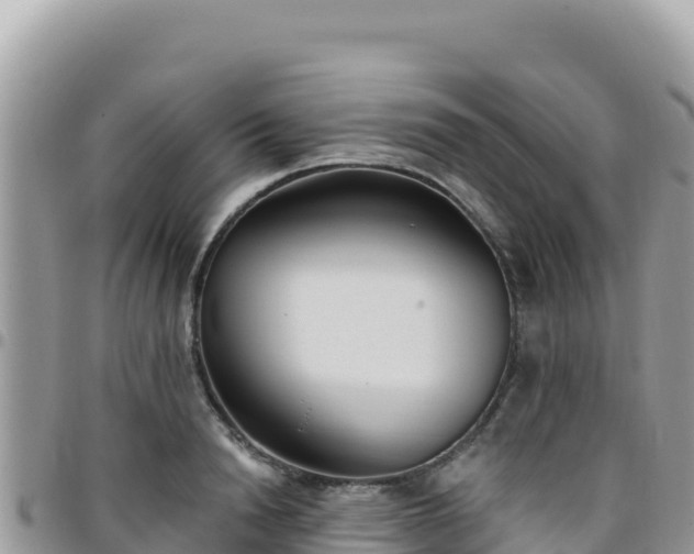 X0000095930846200801181438
