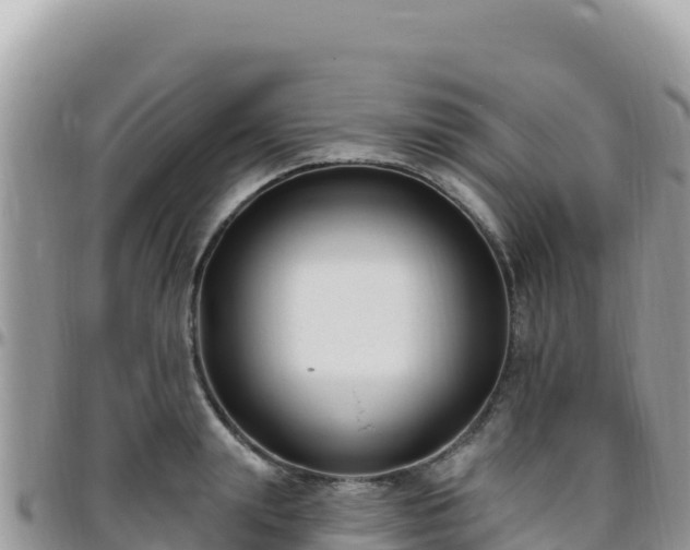 X0000095930847200801181438