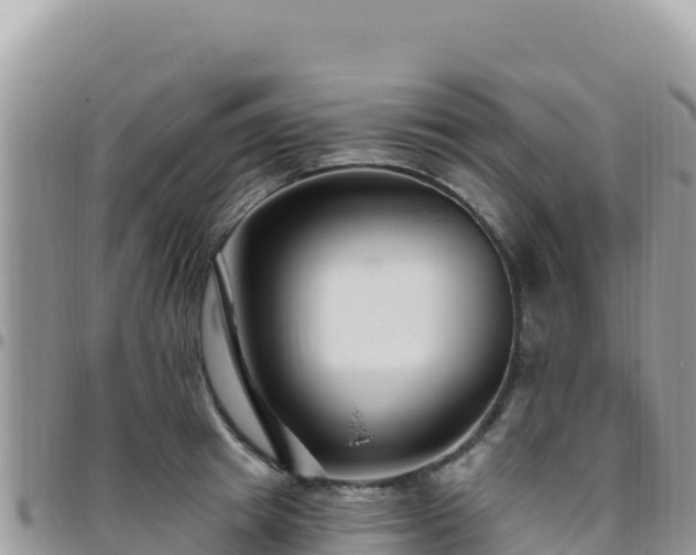X0000095930849200801181438