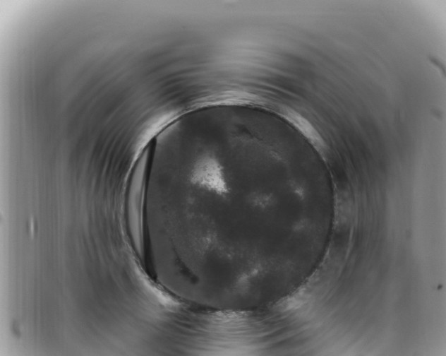 X0000095930850200801181438