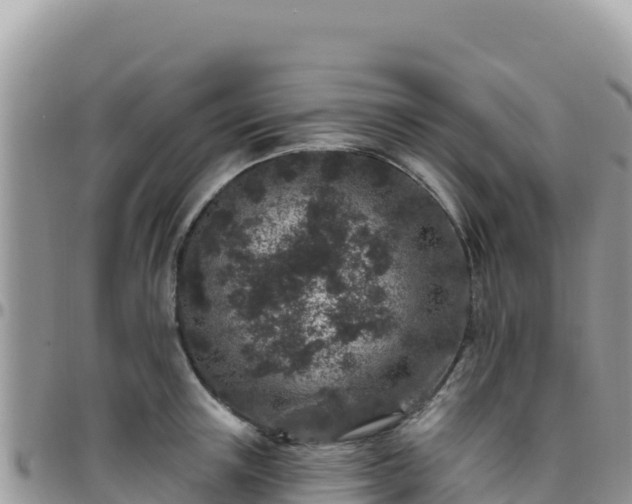X0000095930851200801181438