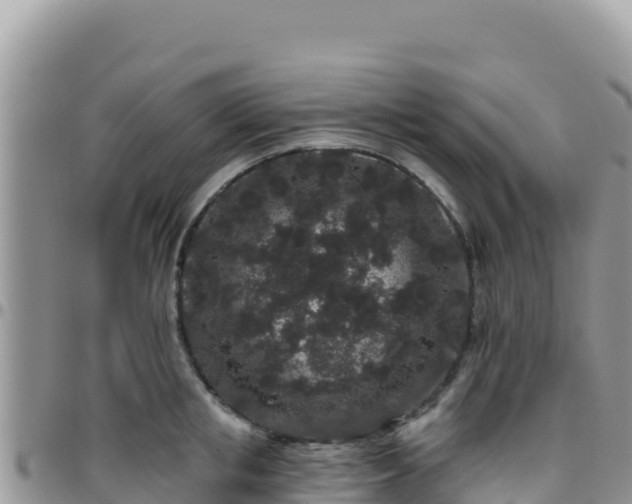 X0000095930853200801181438