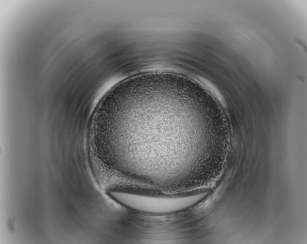 X0000095930855200801181438
