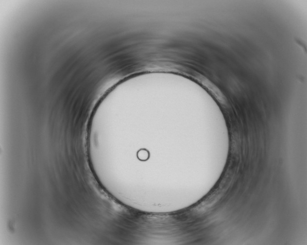 X0000095930856200801181438