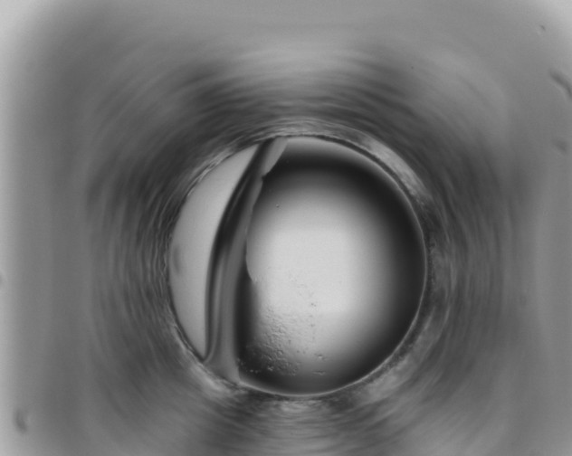 X0000095930857200801181438