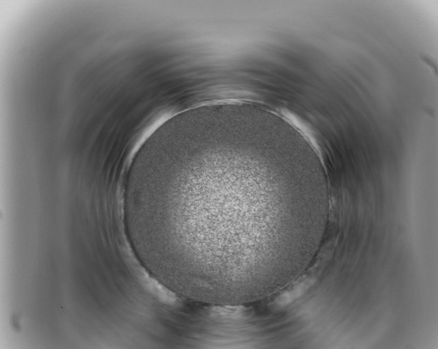 X0000095930859200801181438