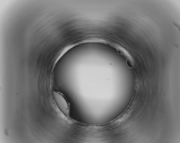 X0000095930860200801181438