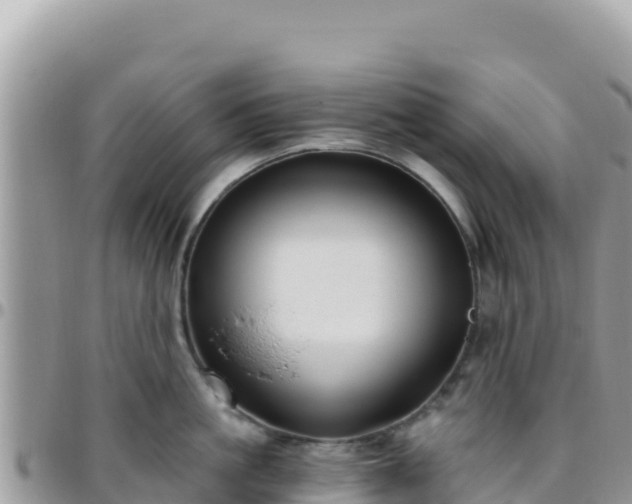 X0000095930861200801181438