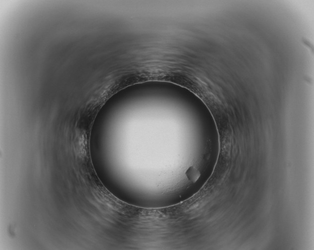X0000095930866200801181437