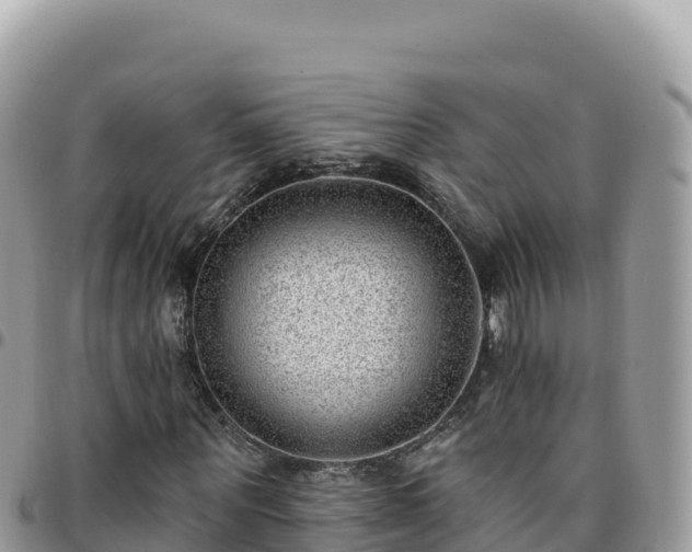 X0000095930867200801181437