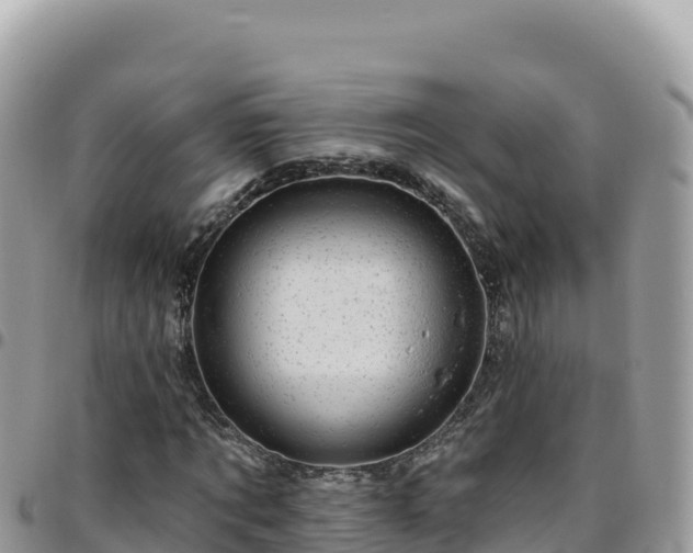 X0000095930869200801181437