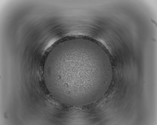 X0000095930871200801181437