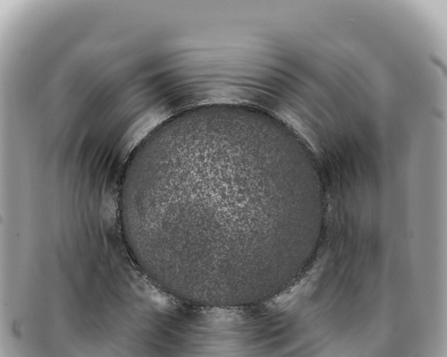 X0000095930874200801181437