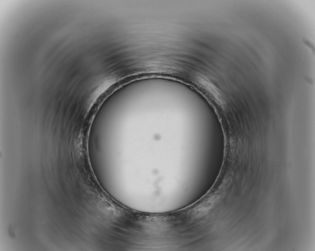 X0000095930875200801181437