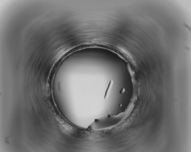 X0000095930876200801181437