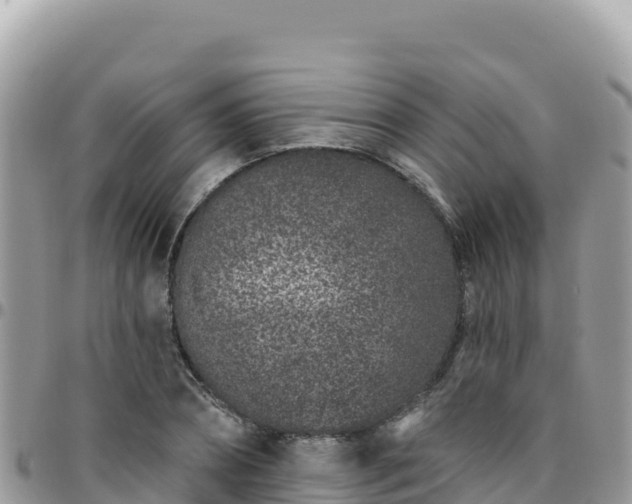 X0000095930882200801181437