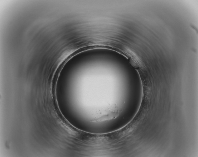 X0000095930884200801181437
