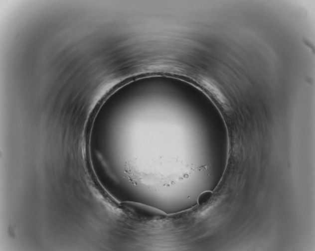 X0000095930888200801181437