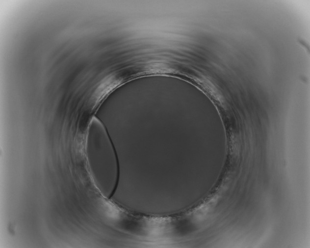 X0000095930889200801181437