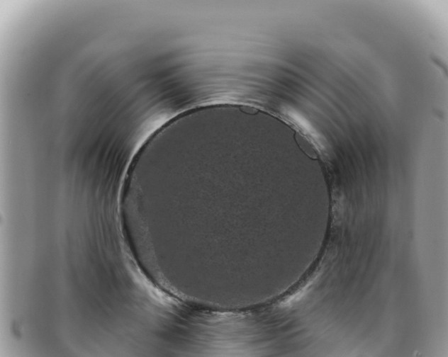 X0000095930892200801181437