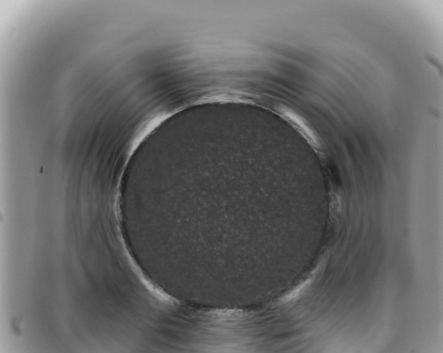 X0000095930893200801181437