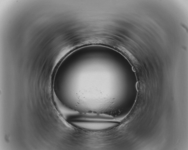 X0000095930894200801181437