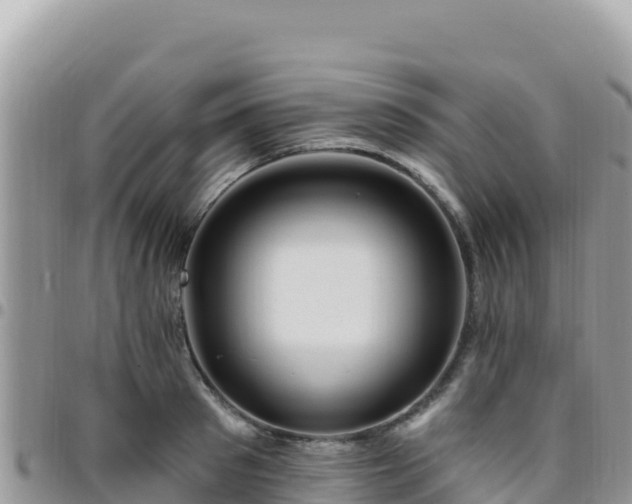 X0000095930897200801181437