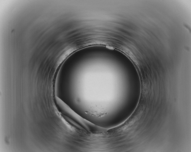 X0000095930898200801181437