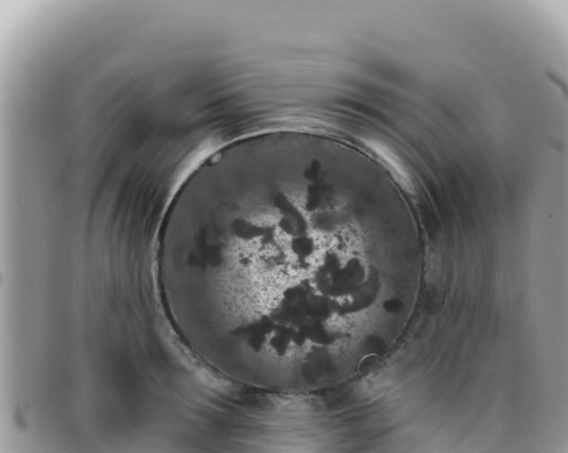 X0000095930899200801181437