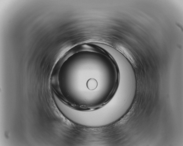 X0000095930900200801181437