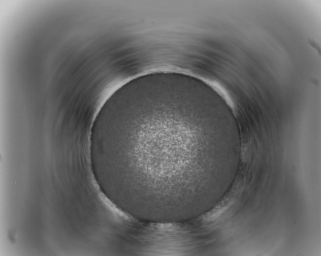 X0000095930903200801181437