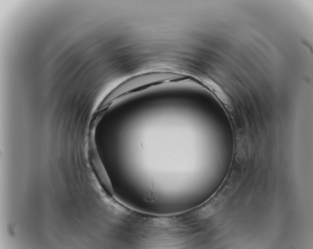 X0000095930904200801181437