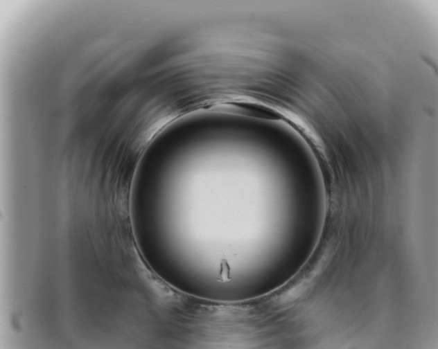 X0000095930905200801181437