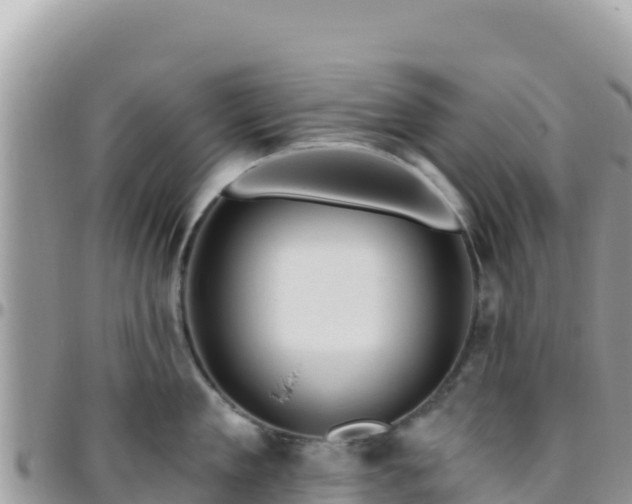 X0000095930909200801181437