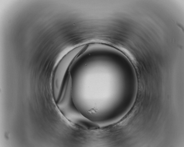 X0000095930910200801181437