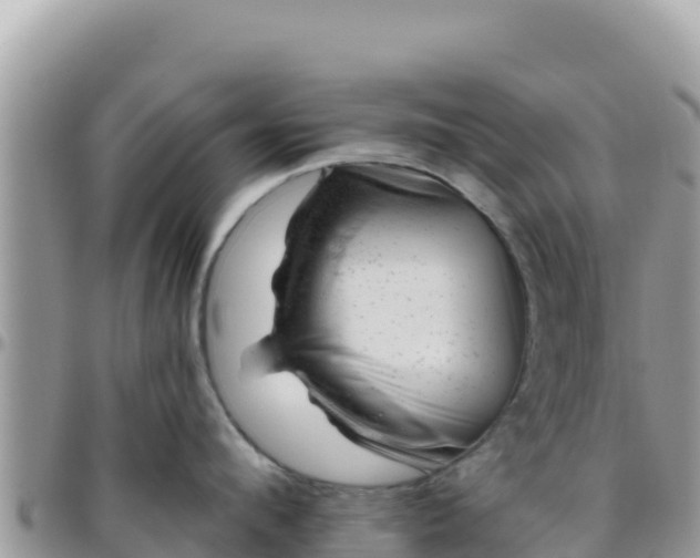 X0000095930912200801181437