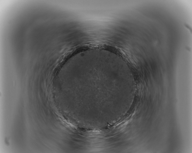 X0000095930913200801181436