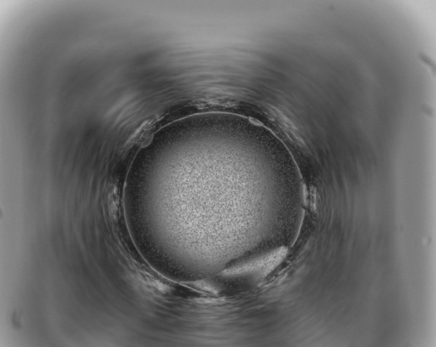 X0000095930915200801181436