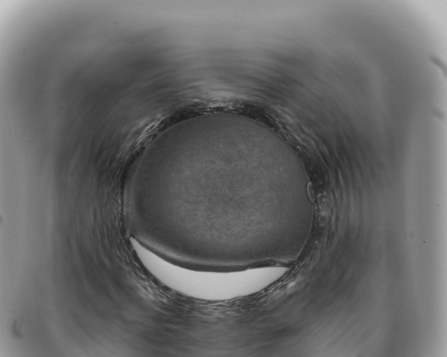 X0000095930916200801181436