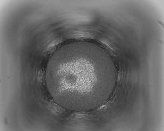 X0000095930917200801181436