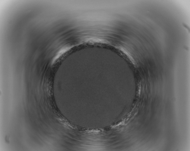 X0000095930919200801181436