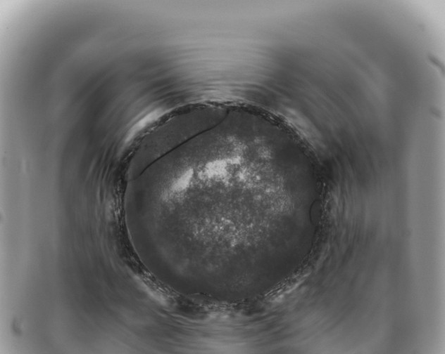 X0000095930920200801181436