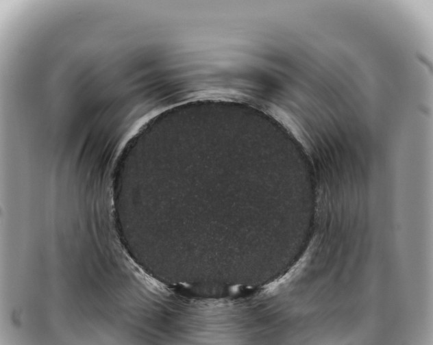 X0000095930923200801181436