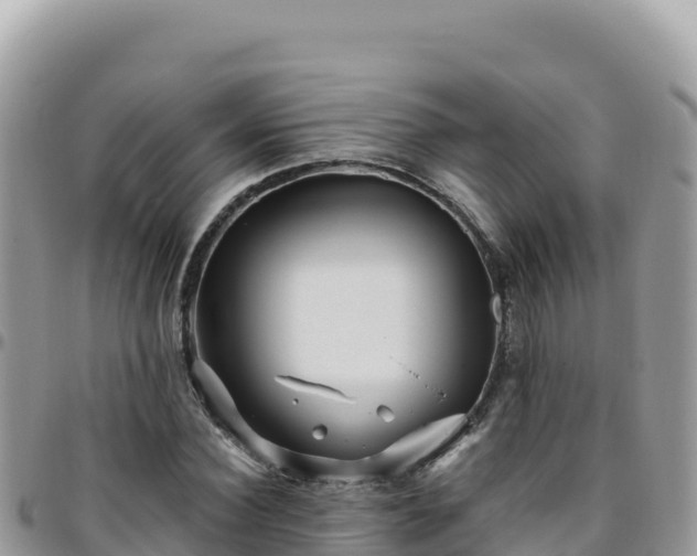 X0000095930924200801181436
