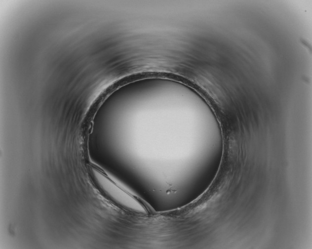 X0000095930926200801181436